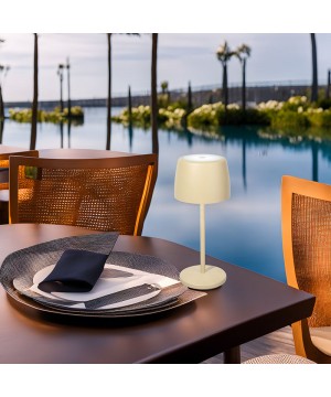 LED Outdoor Rechargeable Table lamp