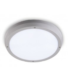 LED Ceiling Fitting