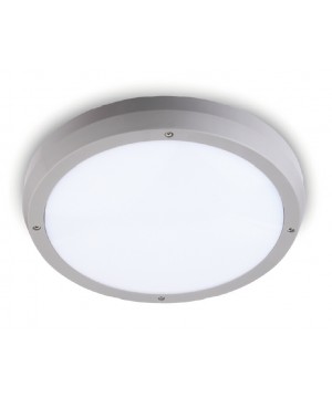 LED Ceiling Fitting