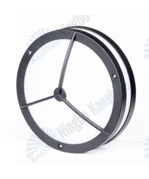 LED Ceiling Fitting